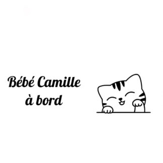 Sticker autocollant bébé à bord chaton mignon ❤️