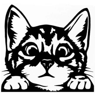 Sticker autocollant chaton so Cute