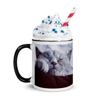 Mug à Intérieur Coloré chat dort