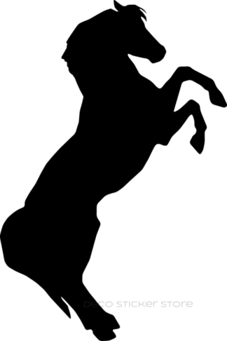 Sticker autocollant cheval cabre ombre