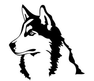 Sticker autocollant chien husky
