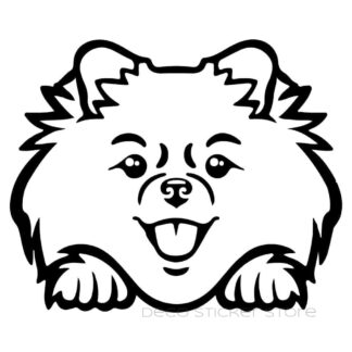 Sticker autocollant chien pomeranian