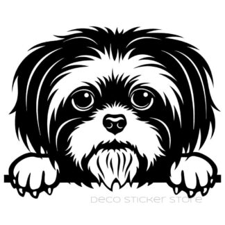 Sticker autocollant chien shih tzu