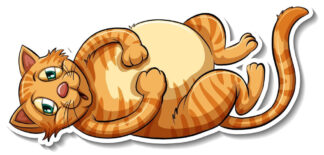 Sticker autocollant imprimé chat 210708