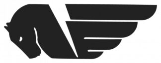 Sticker autocollant moto Buell modèle 2