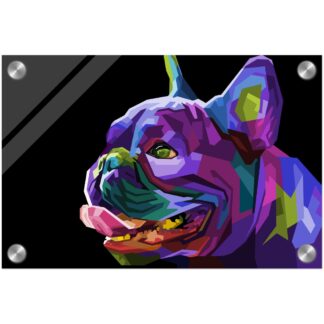 Tableau plexiglas avec fixations dog