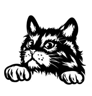Sticker autocollant chat 2