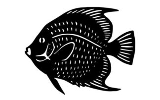 Sticker Autocollant Poisson marin pêche Q87293