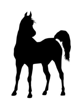 Sticker Autocollant  cheval V87309