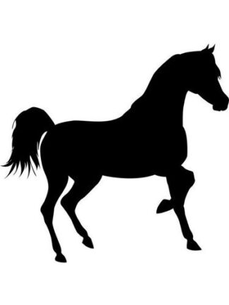 Sticker Autocollant  cheval V87305