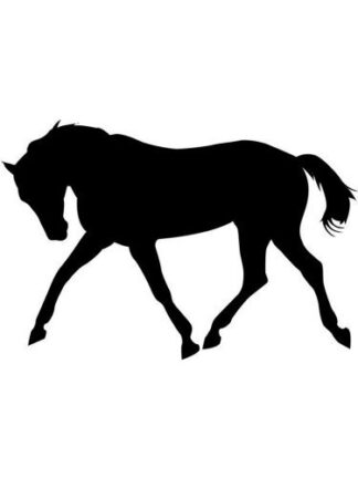 Sticker Autocollant  cheval V87298