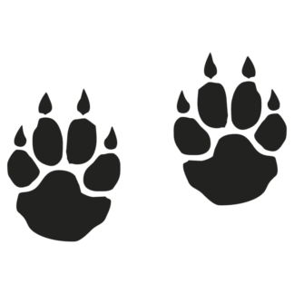 Sticker Autocollant empreinte d ours auto AM87427