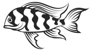 Sticker Autocollant poisson marin pêche AL87299