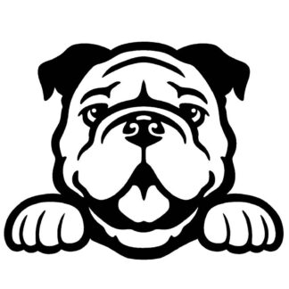 Sticker Autocollant Chien bulldog deco Y87295