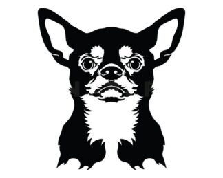 Sticker Autocollant Chien chihuahua deco Y87299