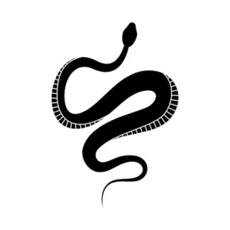 Sticker Autocollant serpent jungle SCF18734