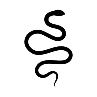 Sticker Autocollant serpent jungle SCF18728