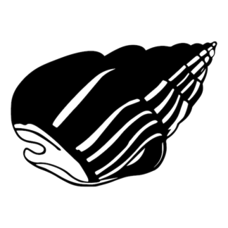 Sticker Autocollant coquillage plage SCE18748