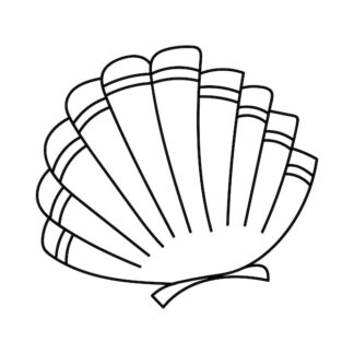 Sticker Autocollant coquillage plage SCE18745