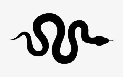 Sticker Autocollant serpent jungle SCF18731