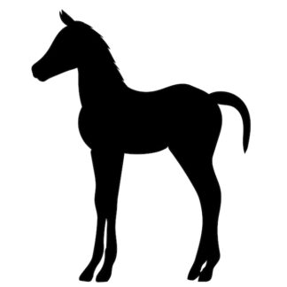 Sticker Autocollant cheval poulain animaux  ANI18753