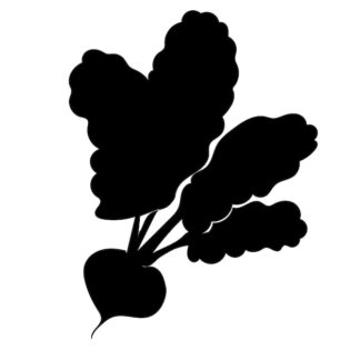 Sticker Autocollant radis légume nourriture NFFL18772