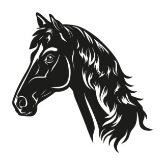 Sticker Autocollant cheval equide animaux  ANX21017