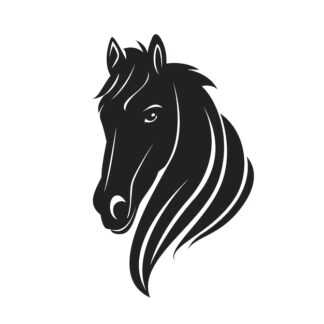 Sticker Autocollant cheval equide animaux  ANX21015
