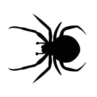 Sticker Autocollant araignée animaux  ANX1884