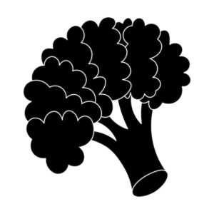 Sticker Autocollant brocoli légume nourriture NFFL18770