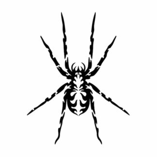 Sticker Autocollant tribal araignée animaux  ANX1885