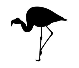 Sticker Autocollant oiseau flamand animaux  ANI18751