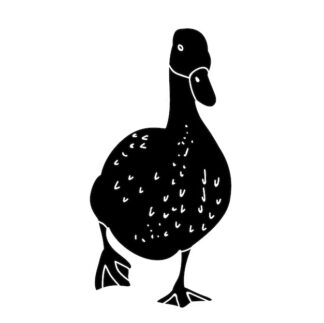 Sticker Autocollant oiseau canard animaux  ANI18749