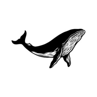 Sticker Autocollant baleine marin animaux  ANX21003