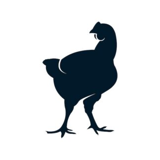 Sticker Autocollant poule poulet oiseau animaux  ANX21230