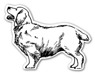 Sticker Autocollant chien  imprimé IMP2023219