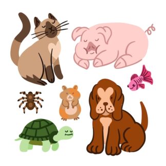 gommettes animaux chat chien cochon tortue poisson planche 10x15cm   PGO157864