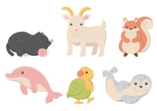 gommettes animaux mignons planche 10x15cm   PGO157867