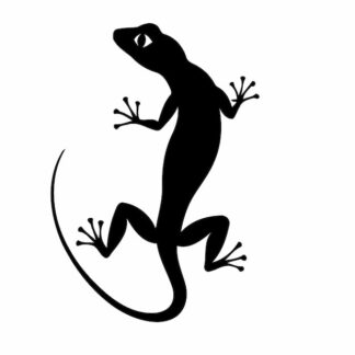 Sticker Autocollant lezard dragon animaux  G69