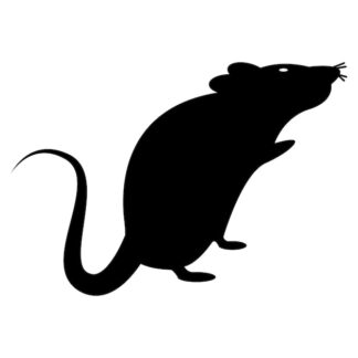 Sticker Autocollant rat souris animaux  G66