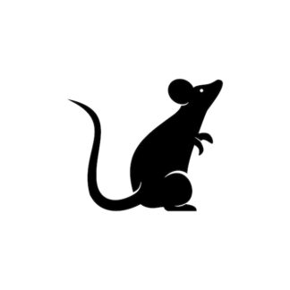 Sticker Autocollant rat souris animaux  G68
