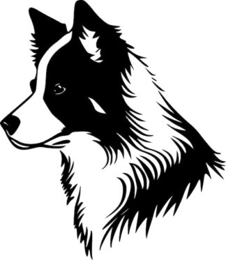 Sticker Autocollant chien border collie animaux  ANX85