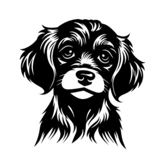 Sticker Autocollant chien cavalier king charles animaux  ANX81