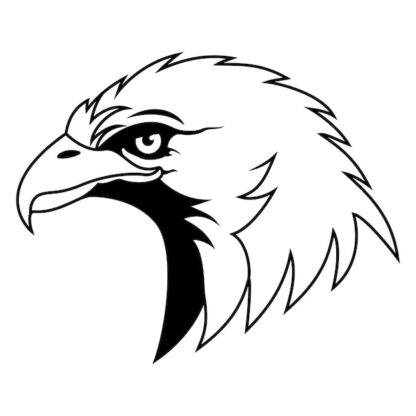 Sticker Autocollant oiseau aigle animaux  ANI2106