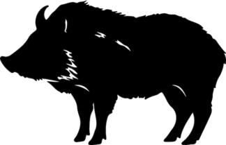 Sticker Autocollant sanglier cochon chasse animaux  ANI890
