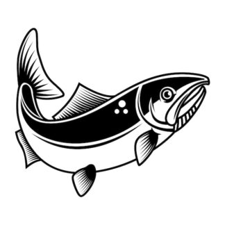 Sticker Autocollant poisson saumon pêche marin animaux  ANI891