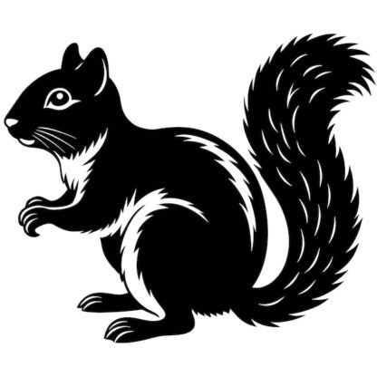 Sticker Autocollant ecureuil animaux  JL19