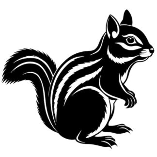 Sticker Autocollant ecureuil animaux  JL20