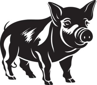 Sticker Autocollant cochon animaux  ANI132