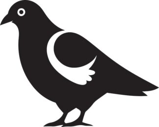 Sticker Autocollant oiseau pigeon animaux  ANI112